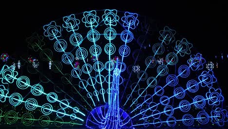 공원에서 led 조명 축제 - 공작 슬로우 모