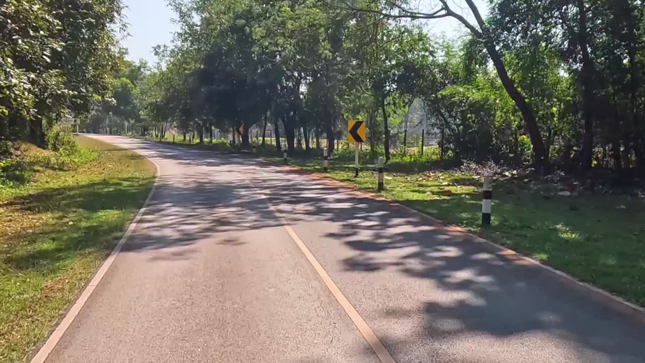 Car journey on a sunny, tree-lined rural road.