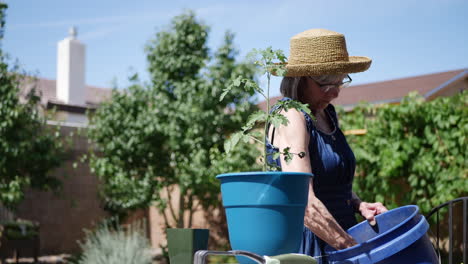 A woman gardener scooping potting soil and organic fertilizer with a hand trowel into a pot for a tomato plant in slow motion
