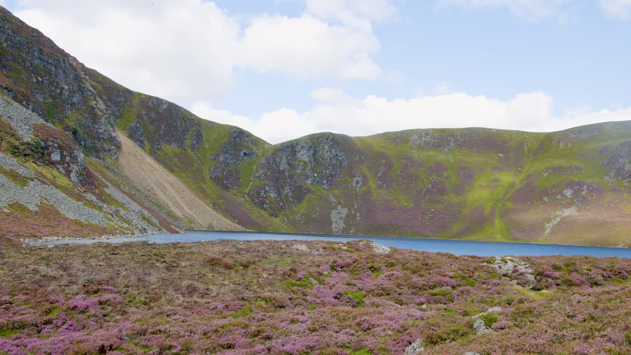 Camera pans across Loch Brandy in the Scottish Highlands, revealing wildflowers, grassy meadows, and rugged hills under soft daylight with a tranquil mood