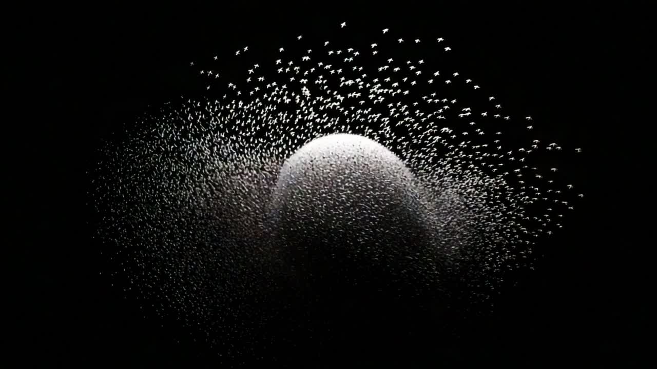 A mesmerizing display of swirling formations created by a flock of birds against a dark backdrop, showcasing their synchronized movement and intricate patterns in flight