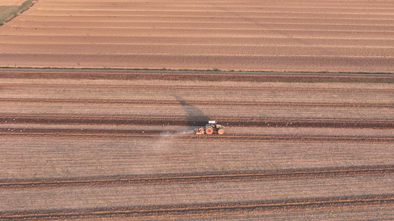 Working tractor amid linear furrows on extensive Po Valley farmland, capturing scale and precision of mechanized fieldwork near San Pietro in Cerro, Piacenza, Emilia-Romagna, Italy, in golden light