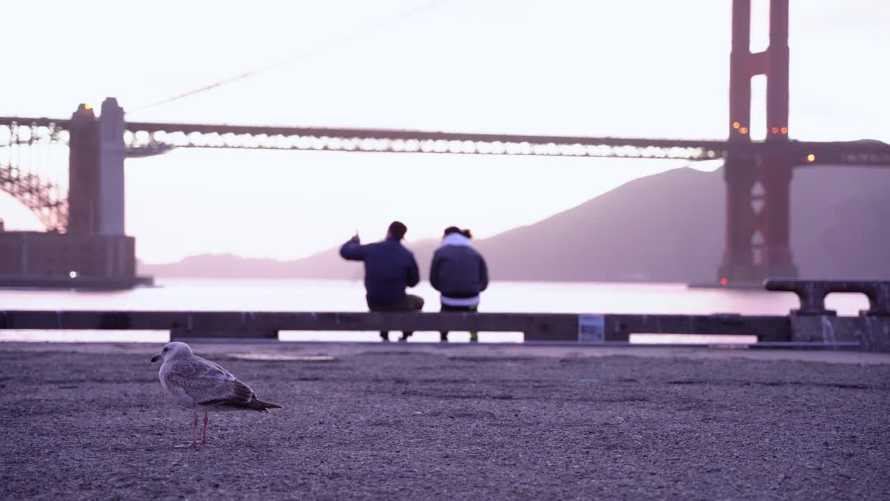 People and bird enjoying the beautiful sunset by the Golden Gate Bridge