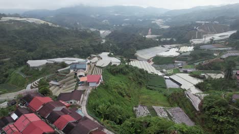 general landscape view of the brinchang district within the cameron highlands area of malaysia