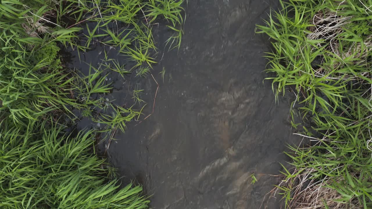 vista de arriba hacia abajo de un pequeño arroyo que corre a través de hierba alta