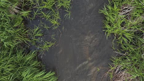 top down view of small creek running through long grass