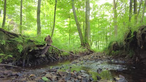 Naturparadieslandschaft