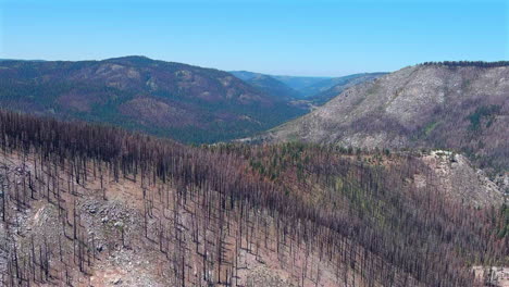 El-Paisaje-Quemado-Del-Bosque-Nacional-Eldorado-En-California-Central---Aéreo