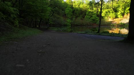 Un-Espejo-Como-Un-Lago-En-Suecia-Disparó-Una-Mañana-De-Principios-De-Verano