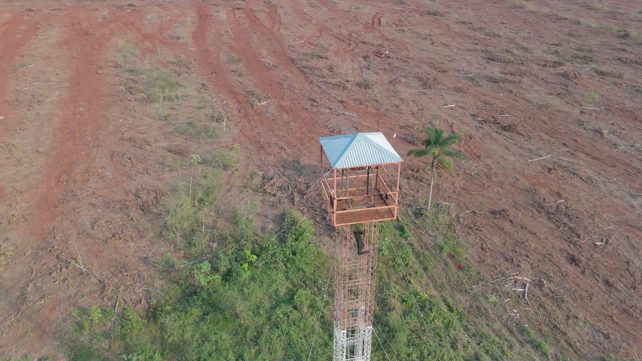 Aerial view of a forest guard tower standing in a reforestation area, overseeing land recovery and environmental conservation efforts.