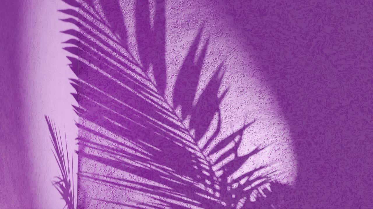 pared de textura púrpura con sombra de hojas de palma ondeando en el viento en la parte posterior, vertical
