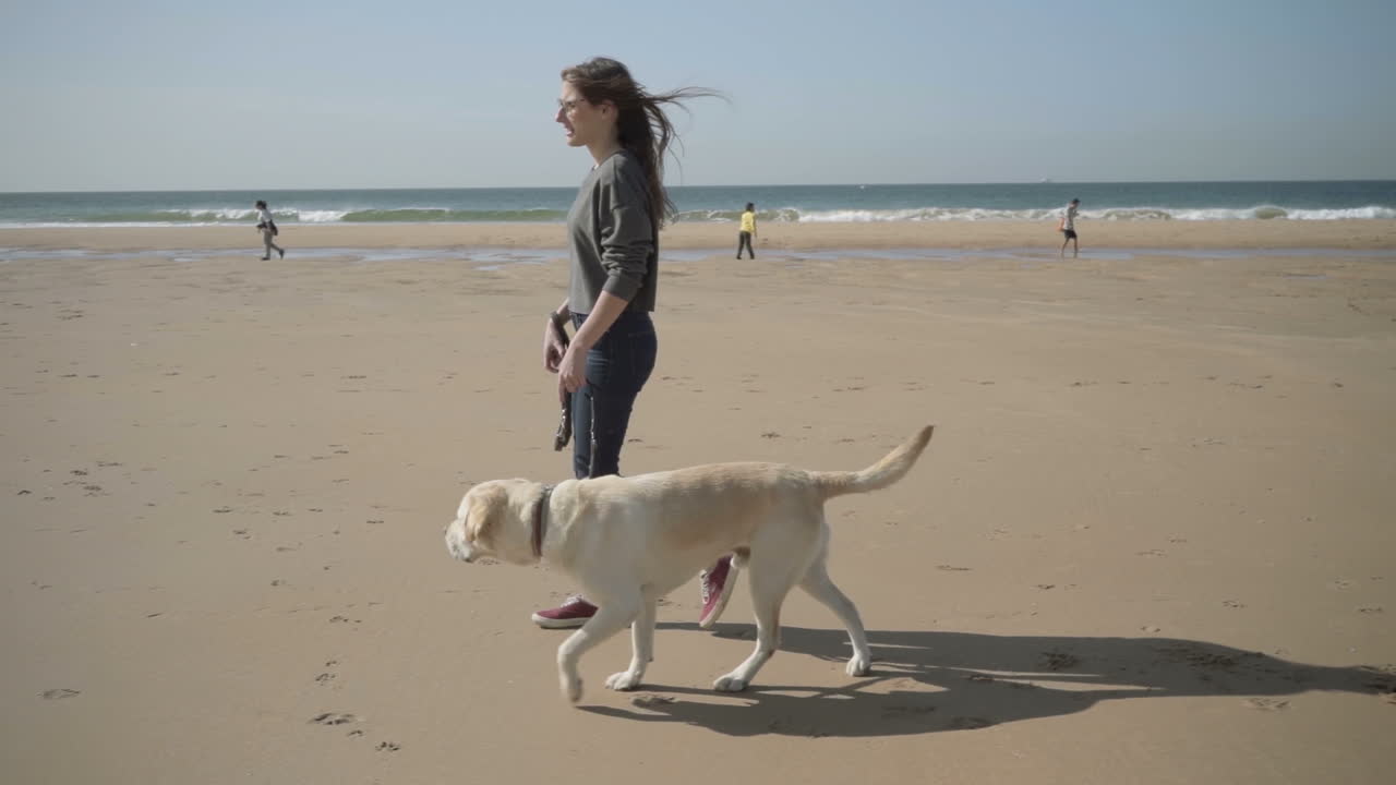 disparo en cámara lenta de una mujer joven paseando con un labrador en la playa