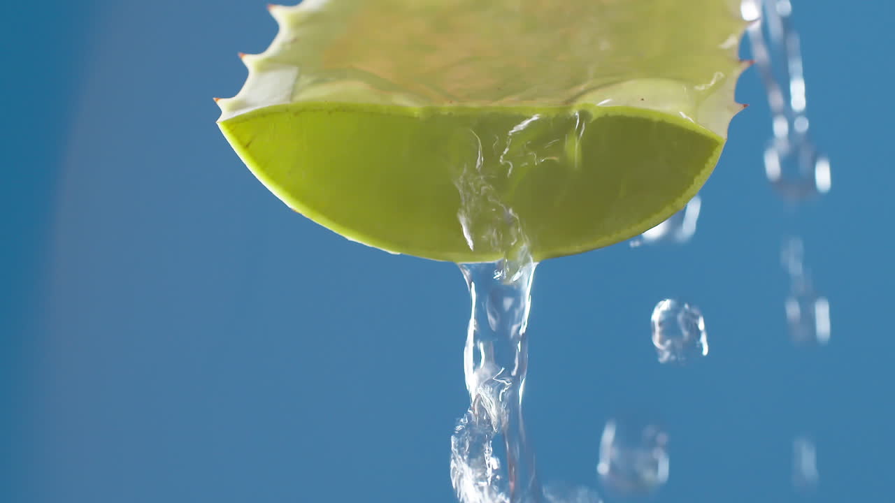 순수한 물방울과 녹색 알로에 스트림