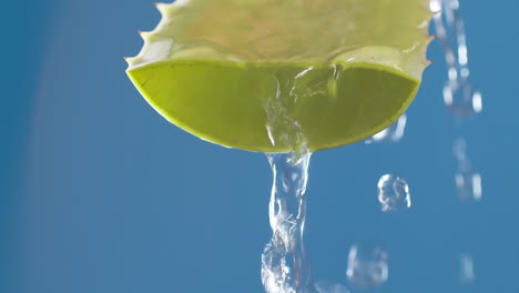 pure water drops and streams to green aloe