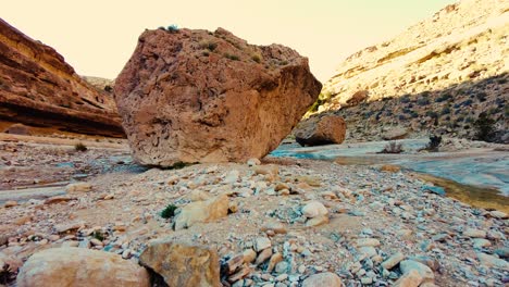 Ein-Fluss-Mitten-In-Der-Sahara,-Algerien,-Biskra