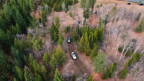 range rover suvs driving in a convoy in an evergreen forest