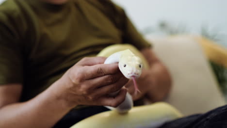 man with snake indoors