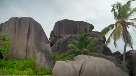 Fpv-drone-flying-on-a-Anse-Source-d'Argent-beach-in-Seychelles-on-an-Island-Mahe,-video-of-incredible-trees,-Seychelles-rocks,-seaside,-and-surrounding-Seychelles-landscapes