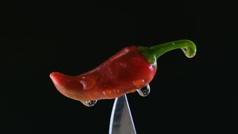 red chilli covered in water droplets on silver knife blade rotating isolated against black background