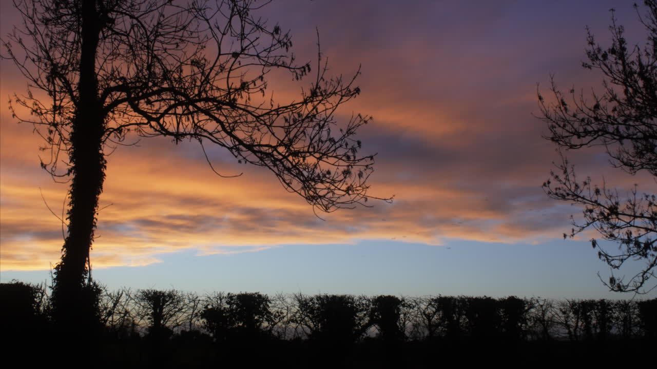 PANNING SILHOUETTE SHOT of beautiful clouds at sunset with birds flying in the distance