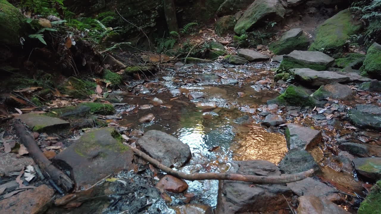 corriente de agua dulce en las montañas azules de australia -incline hacia abajo