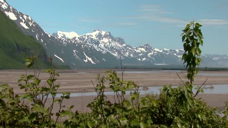 mountains and valley seen through branches