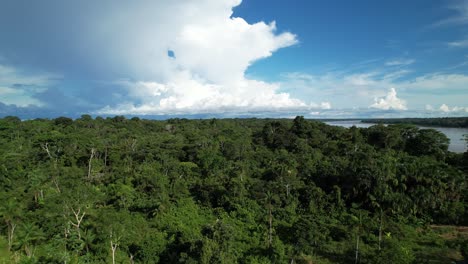 The-banks-of-the-Amazon-river-in-Colombia