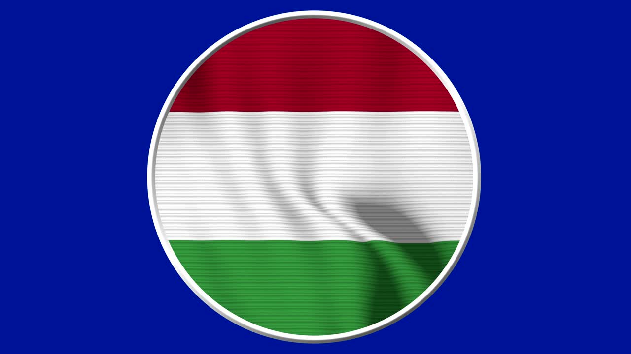 가리 순환 발 루프 - 바람에 흔들리는 현실적인 4k 발