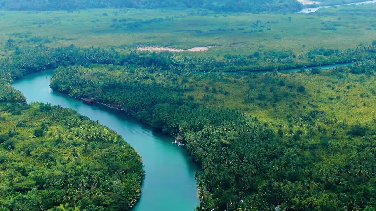 drone aerial earthy view flying around a huge tropical jungle landscape with a blue river flowing in between the tall palm trees and green grass