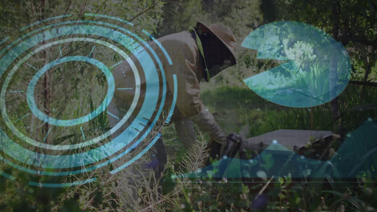 Beekeeping expert using tool at hive lifting revealing scan overlay inspecting and resealing hive