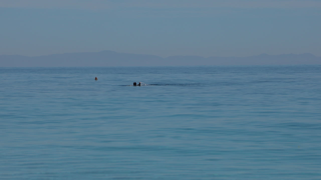 游泳在平靜的海水上, 孤立的游泳者在藍色的海水表面
