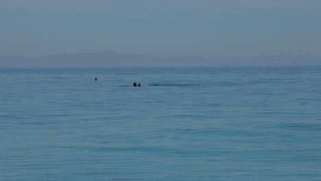 Swimming-on-quiet-sea-water,-isolated-swimmer-on-blue-seawater-surface