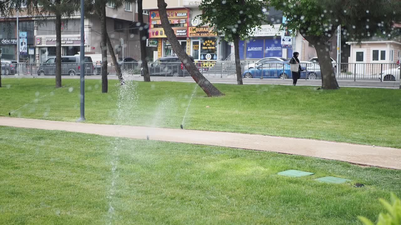 스프링클러 가 잔디 에 물 을 주고 있는 공원 장면