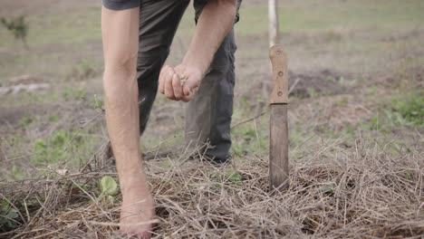 mid shot of male gardener planting seeds