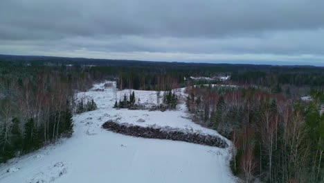 bosques y campos de invierno, vista aérea de drones