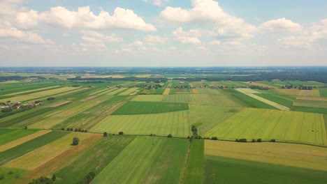 Abstrakte-Geometrische-Formen-Landwirtschaftlicher-Parzellen-Verschiedener-Kulturen-In-Gelben-Und-Grünen-Farben