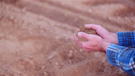 Landwirt,-Der-Organischen-Boden-In-Den-Händen-Untersucht-Landwirt,-Der-Schmutz-Im-Landwirtschaftsfeld-Berührt-15