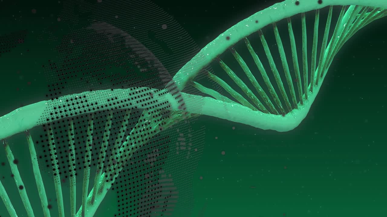 Animazione dell’elaborazione dati su filamento di DNA