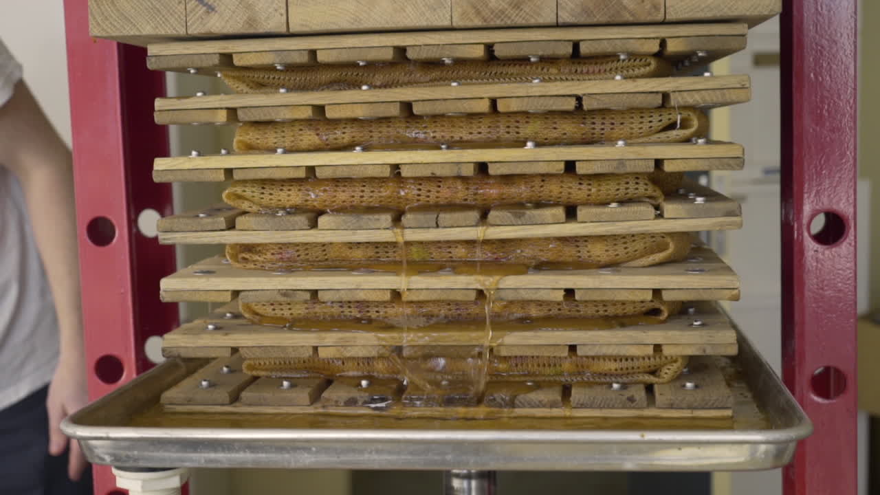 plano medio de manzanas prensadas en una prensa de sidra de manzana