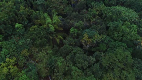 aerial view of the morogoro rock garden-14