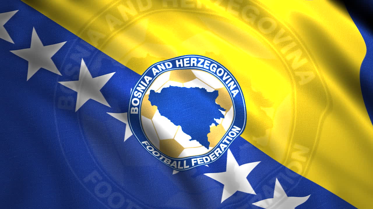 보스니아 헤르체고비나의 발