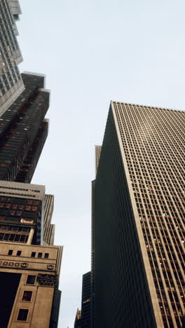 looking up at the skyscrapers of a modern city