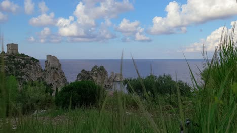 en tiempo real de briznas de hierba sacudidas por el viento y pilas o farallones de scopello en el fondo, sicilia.