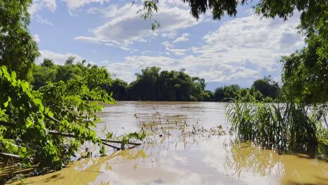 flooded rural town on sunny morning after the storm in chiang mai, northern thailand