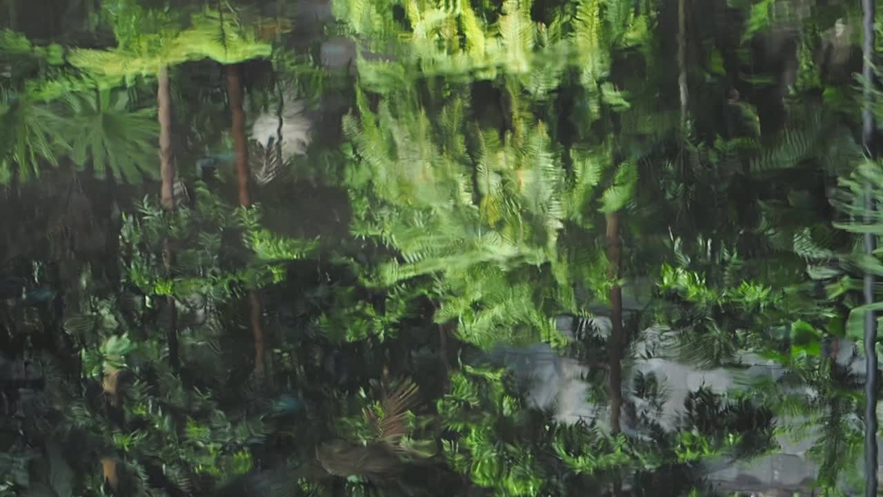 Water Reflections of Lush Green Vegetation