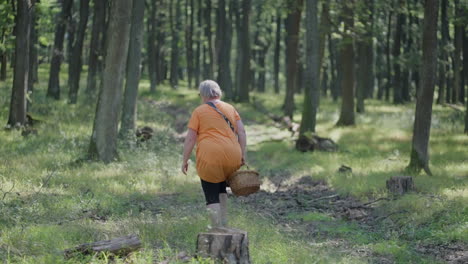 fat older woman with orange t-shirt walking through the green forest holding a wooden basket looking for mushrooms surrounded by trees in nature