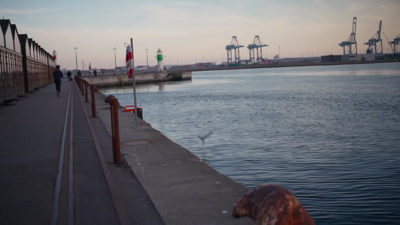 Mewa szybuje nisko nad spokojną wodą portową, a żurawie przemysłowe znikają w zmierzchającym horyzoncie.