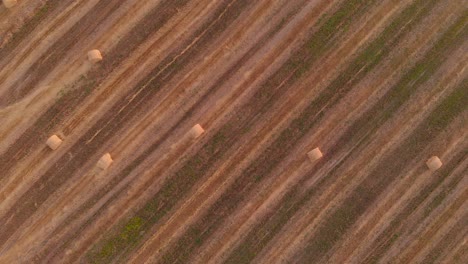 vista aérea del patrón de los rollos de paja en el campo