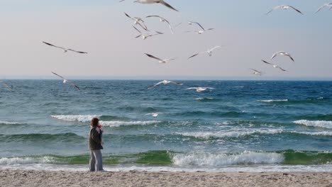 woman watching seagulls on the beach