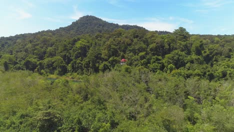 Drone-&-bird-soaring-in-harmony